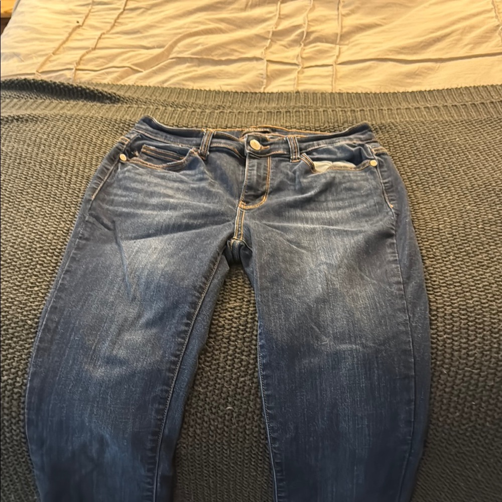 Judy Blue Skinny Jeans